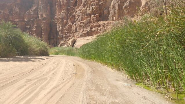 Offroad Drive Through Wadi Disah, Tabuk Region, Saudi Arabia