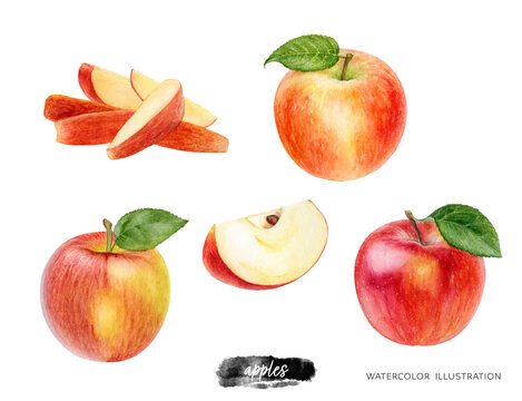 Apples set hand drawn watercolor illustration isolated on white background