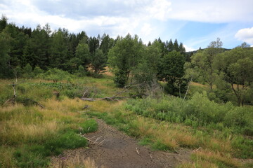 wyschnięte jeziorko