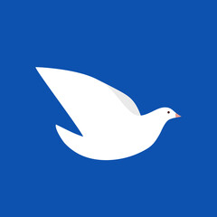 Minimalist white dove icon flying. Peace symbol. Square banner. Concept of non violence, tolerance, equality. Vector illustration, flat design