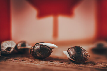 Cannabis macro Seeds and macro flowers of Weed
