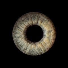 eye of a eye