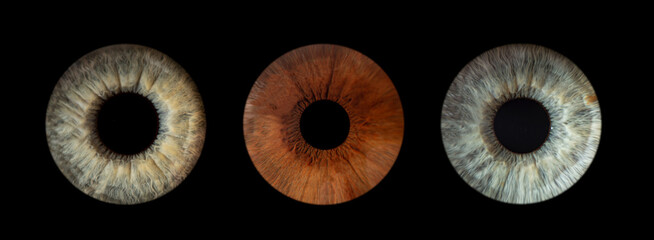 human eyes