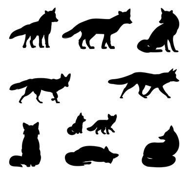 Fox set. Adults and foxes. Animal silhouette. Wild life picture. Isolated on white background. Vector.