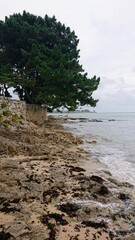 BENODET (Finist&egrave;re)