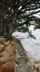 BENODET (Finistère)