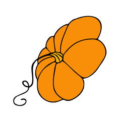 Cute autumn vector illustration, hand drawn pumpkins