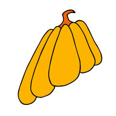 Cute autumn vector illustration, hand drawn pumpkins