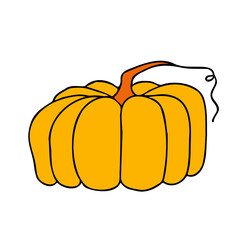 Cute autumn vector illustration, hand drawn pumpkins