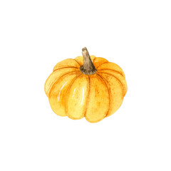 Watercolor hand drawn orange pumpkin illustration. Autumn clipart