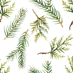Watercolor pattern with evergreen branches of spruce and thuja. For eco green design or christmas decor