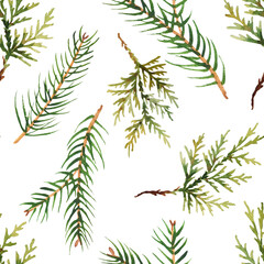 Fototapeta premium Watercolor pattern with evergreen branches of spruce and thuja. For eco green design or christmas decor