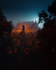 Artwork. The girl on the background of a fairy-tale castle. Night photo