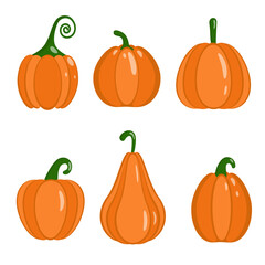 Pumpkin flat icons set. Thanksgiving day farm harvest pictogram, close-up of squash, vegetable. Simple pumpkin cartoon icon vector flat illustration