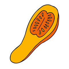 Cute autumn vector illustration, hand drawn pumpkins