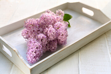 A branch of lilac lies on white wooden tray