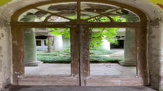 old garden in the abandoned building