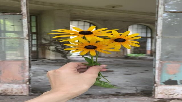 person with yellow flowers in their hands