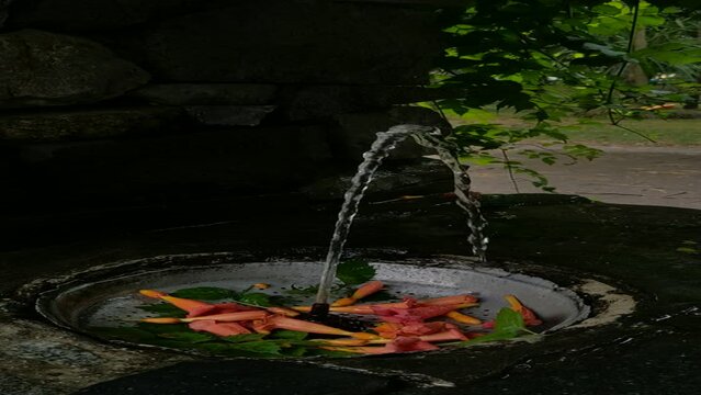 water pouring into a bowl