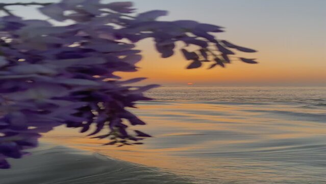 sunset on the beach