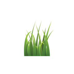 Green lawn meadow summer grass template realistic vector illustration isolated.