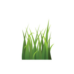 Realistic grass tuft or bunch, flat vector illustration isolated on white background.