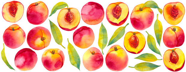 Watercolor set of peach fruits and leaves, hand painted DIY nature elements on a transparent background, decorative botanical illustrations