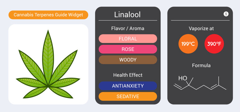 Cannabis Terpene Guide Information Chart. Aroma and Flavor with Health Benefits and Vaporize Temperature. Vector.