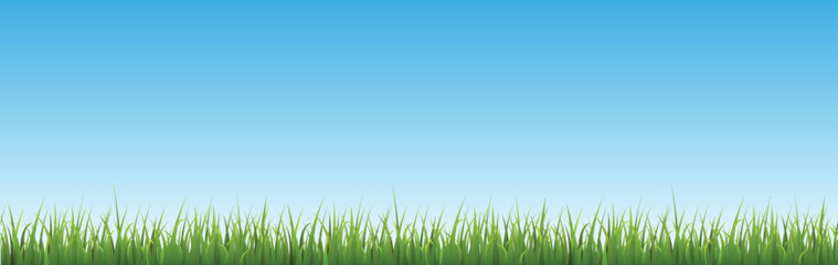 Fototapeta na wymiar Seamless green grass border and bright blue sky flat style, vector illustration