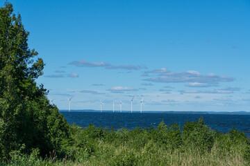 Fototapeta na wymiar Windmills seen from Hammarö, Sweden
