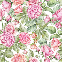 Watercolor Roses Floral Seamless Pattern - 530055558