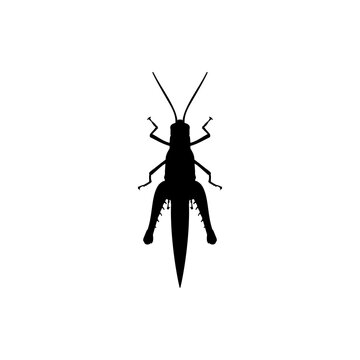 Grasshopper Icon or Grasshopper Silhouette on White Background. Grasshopper Silhouette on White Background. Isolated Vector Animal Template for Logo Company, Icon, Symbol etc