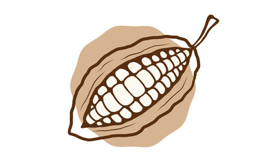 Vector vintage illustration of of cocoa. Vector set icons of cocoa in hand drawing style.