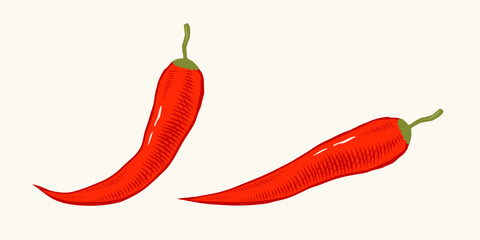 Vector illustration of chilli pepper in engraving style. Vector icon of red chili pepper on isolated background in retro style. Extra spicy food.