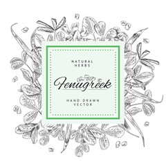 Fenugreek hand drawn label with copy space for text, sketch vector illustration on white background.