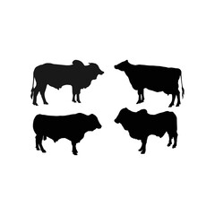 black cow logo