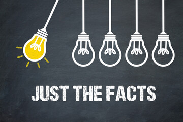 Fototapeta premium Just the Facts 