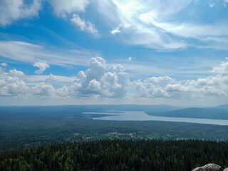 Beautiful green landscape with trees