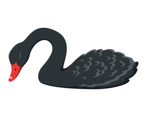 Cute Black Swan Cartoon Illustration