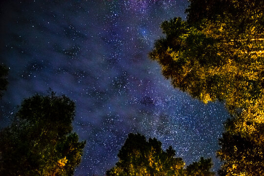 The starry sky through the trees, the milky way between the treetops illuminates the path in the forest. The starry sky is slightly overcast. Soft selective focus, shooting at a long shutter speed. - Powered by Adobe