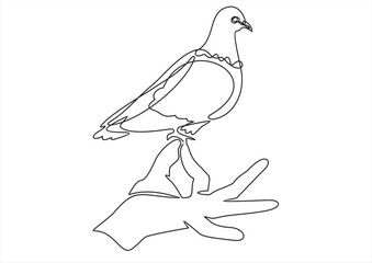 Dove on hand