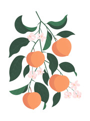 branch with peach fruits, leaves and flowers on light background