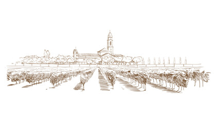 Vineyard landscape vector sketch design. Hand drawn illustration - 530065766