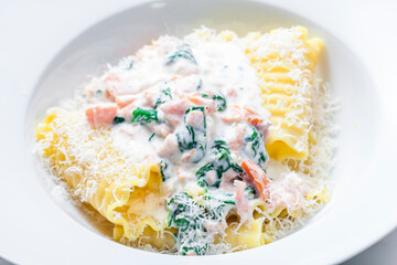 pasta with creamy salmon sauce with spinach