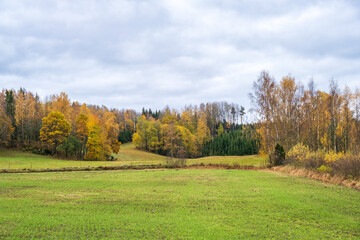 Autumn colors on the trees in a rural landscape