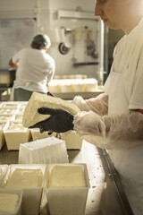 Process of producing different varieties of cheese in industry. Cheese-making from natural milk