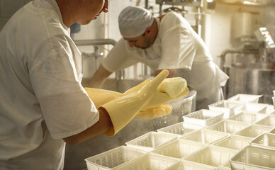 Process of producing different varieties of cheese in industry. Cheese-making from natural milk
