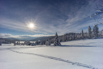 Fototapeta Winter landscape around Mala Upa, Giant Mountains (Krkonose), Northern Bohemia, Czech Republic obraz