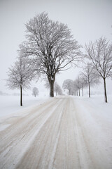 Dusty road with fresh snow
