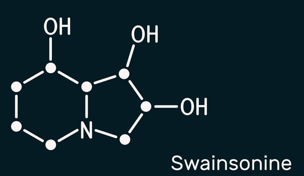 Swainsonine, tridolgosir molecule. It is indolizidine alkaloid from the plant Swainsona, with immunomodulatory activity. Skeletal chemical formula, dark blue background